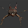 Brown Earwig With Long Antennae And Pincer Tail On Dark Background 3d model