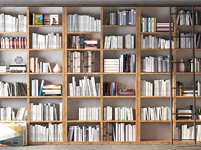 Large Wooden Bookcase With Multiple Shelves Filled With Books And Decorative Items 3d model
