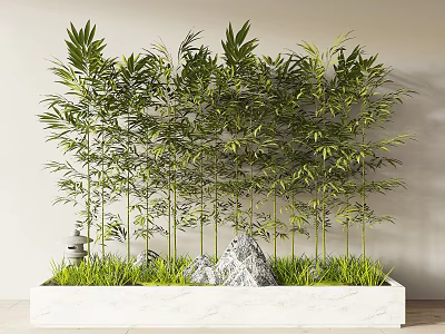 Indoor Bamboo Plants In White Planter With Rocks And Grass 3d model
