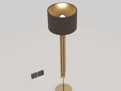 Modern Floor Lamp Interior Design With Dark Gray Lampshade And Golden Stand Round Base 3d model