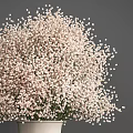 Beautiful White Vase With Fresh White Baby's Breath Flowers On Gray Background