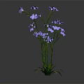 Purple Blooming Flowers With Green Stems And Leaves On Dark Background