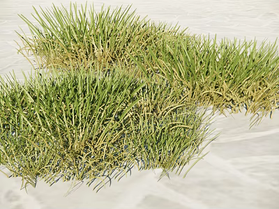 Lush Green Ground Cover With Natural Grass Texture On Light Colored Surface 3d model