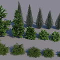 Snow Covered Bushes And Evergreen Trees In Winter Landscape Scene