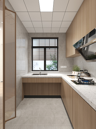 Modern Kitchen 3d model