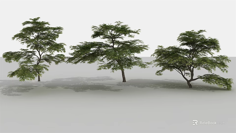 Three Arbor Trees With Lush Green Foliage And Thick Trunks 3d model