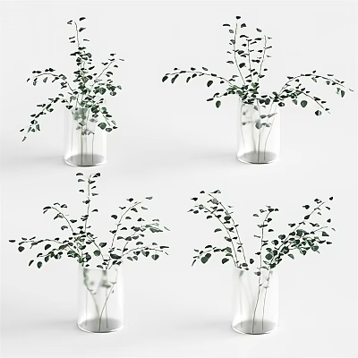 Glass Vases With Green Leaf Plants For Home Decorative Arrangement 3d model