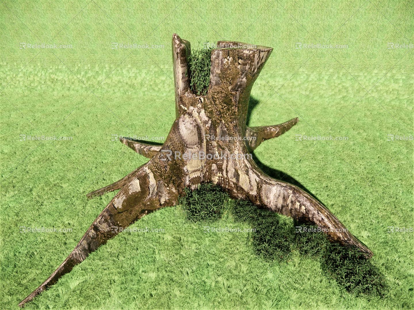 modern tree stump old tree stump 3d model