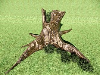 modern tree stump old tree stump 3d model