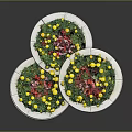 Three Circular Wooden Planters With Lush Yellow And Red Flowers And Green Plants