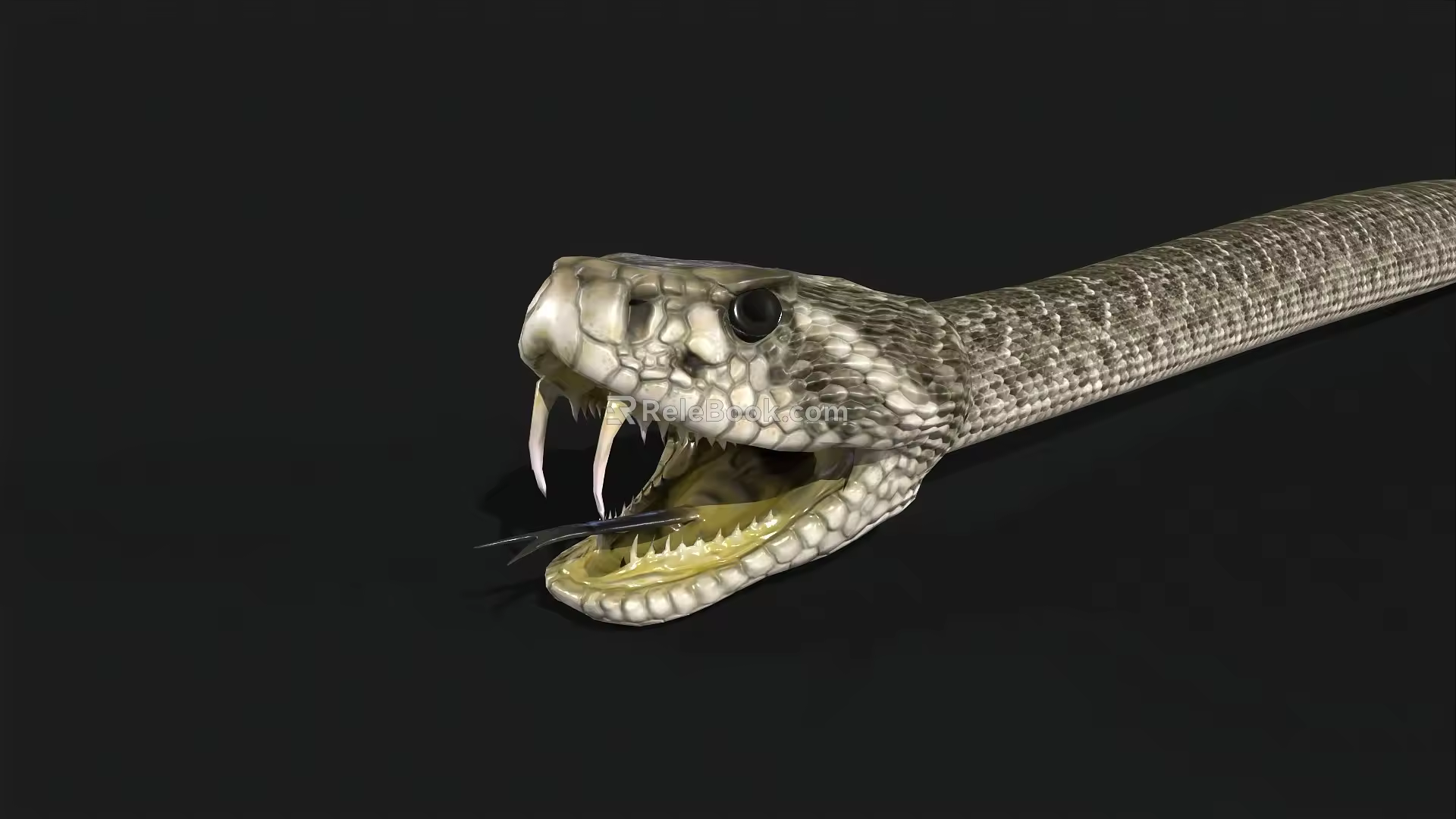 rattlesnake reptile viper cold-blooded animal snake 3d model
