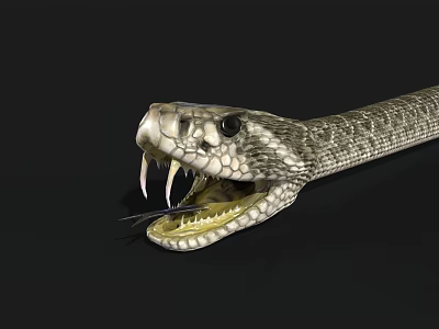 Detailed Reptile Snake With Open Mouth Sharp Fangs And Scales On Black Background 3d model