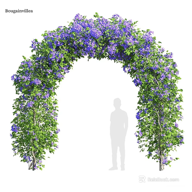 Beautiful Arched Pergola In Outdoor Garden With Purple Flowers And Green Leaves 3d model 