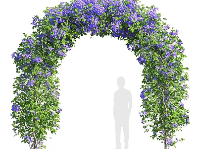 Beautiful Arched Pergola In Outdoor Garden With Purple Flowers And Green Leaves 3d model