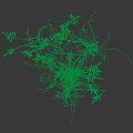 Dry Grass With Slender Stems And Spike Like Leaves On Dark Background