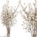 Elegant Glass Vase With Natural Branches And White Flowers For Home Decor