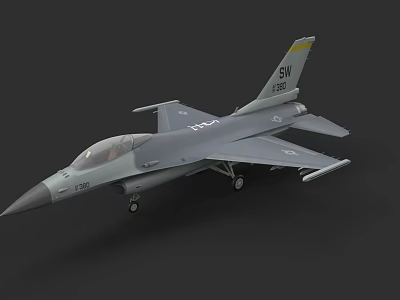 Detailed Gray Military Fighter Jet With SW Tail Marking And Landing Gear 3d model
