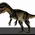 Predatory Reptile Dinosaur Model With Sharp Teeth Rough Skin And Standing Posture