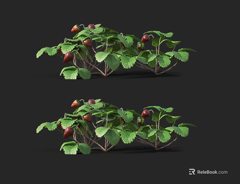 Fresh Strawberry Plants With Green Leaves And Ripe Red Fruits 3d model 