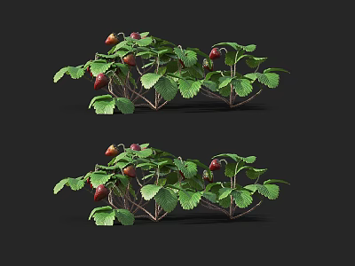 Fresh Strawberry Plants With Green Leaves And Ripe Red Fruits 3d model