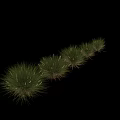 Green Grass Plants in Different Sizes Multiple Clusters Natural Growth Arrangement