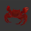 Red Clawed Crab With Dark Body And Detailed Legs On Dark Background