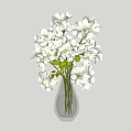 Transparent Glass Vase Holding Fresh White Flowers And Green Leaves