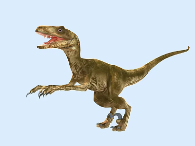 Modern dinosaur Velociraptor 3d model