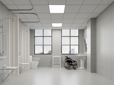 Accessible Shower Disabled Shower Accessible Toilet Wheelchair Accessible Basin 3d model