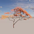 Autumn Arbor With Orange Red Leaves And Slender Curved Branches