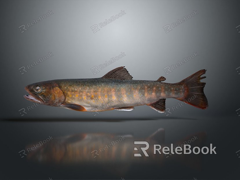 Catfish Carp Sturgeon Bass Freshwater Fish Various Carp Grass Carp Crucian Carp model