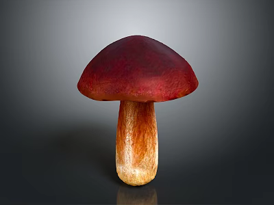 Fresh Edible Mushroom with Vibrant Red Cap and Brown Stem 3d model