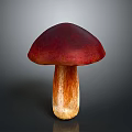 Fresh Edible Mushroom with Vibrant Red Cap and Brown Stem
