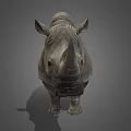 Detailed Realistic Rhinoceros 3D Model in Standing Pose on Gray Background