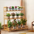 Indoor Multi Tiered Bamboo Plant Stand With Various Potted Flowering And Green Plants