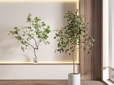 Indoor Bonsai Plants in White Vase and Pot with Modern Wooden Decor 3d model