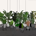 Various Indoor Potted Plants With Green Leaves And Stylish Decorative Pots
