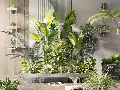 Diverse Potted Plants Including Large Leafy Green And Small Bonsai For Indoor Decor 3d model