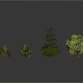 Various Green Plants with Different Shapes and Sizes for Garden or Indoor Use