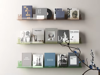 Modern Acrylic Bookshelf Acrylic Magazine Rack Tea Glass Bookshelf Modern Transparent Bookshelf Books and Magazines 3d model