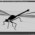 3D Rendered Dragonfly Models With Green Body White Transparent Wings And Metallic Details