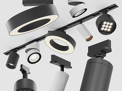 Modern Downlights And Spotlights With Stylish Designs Black White Options For Home Lighting 3d model