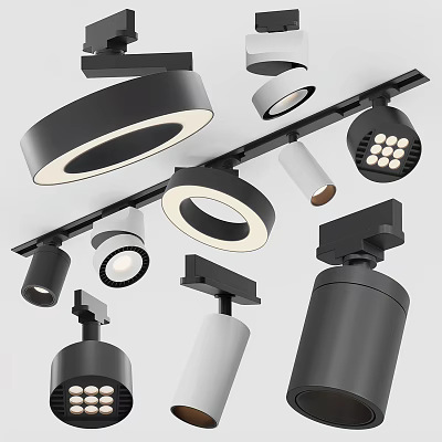 Modern Downlights And Spotlights With Stylish Designs Black White Options For Home Lighting 3d model