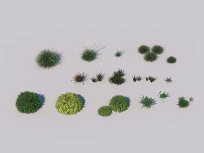 Different Types Of Decorative Garden Grass And Flower Plants With Various Shapes And Sizes 3d model