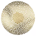 Gold Circular Perforated Decorative Wall Lamp For Modern Home Interior Lighting 3d model