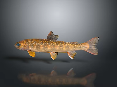 Home Decor Fish Ornament with Brown Body White Spots Blue Eyes and Orange Yellow Fins 3d model