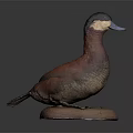 Detailed Duck Taxidermy Mount On Brown Base With Dark Background
