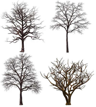 Modern Dead Tree 3d model Modern Dead Tree 3d model