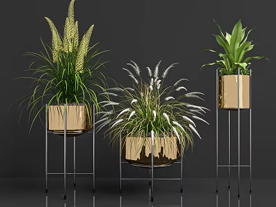Modern Bonsai Potted Plants With Feathery Leaves And Metal Stands Wooden Pots 3d model
