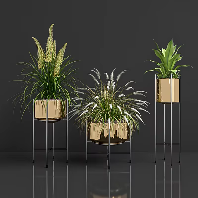Modern Bonsai Potted Plants With Feathery Leaves And Metal Stands Wooden Pots 3d model